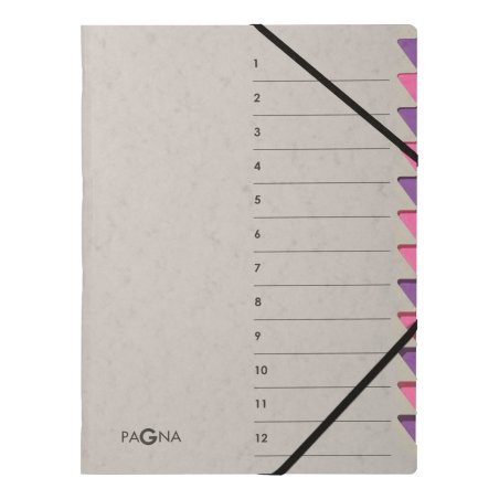 PAGNA Trieur "Easy Grey", A4, 12 compartiments, gris / lilas