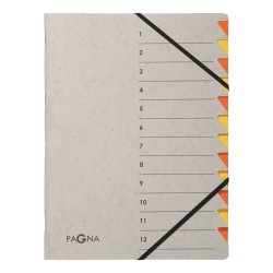 Pagna 44312-12 trieur Gris, Orange Carton A4