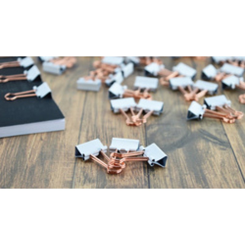 RAPESCO Pince double-clip, (L)19mm, blanc/or rose, 80 pièces