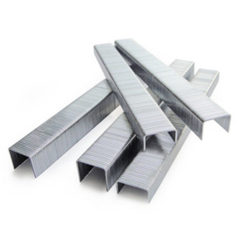 TACWISE Agrafes 53/4 mm, 2000 pièces, galvanisé