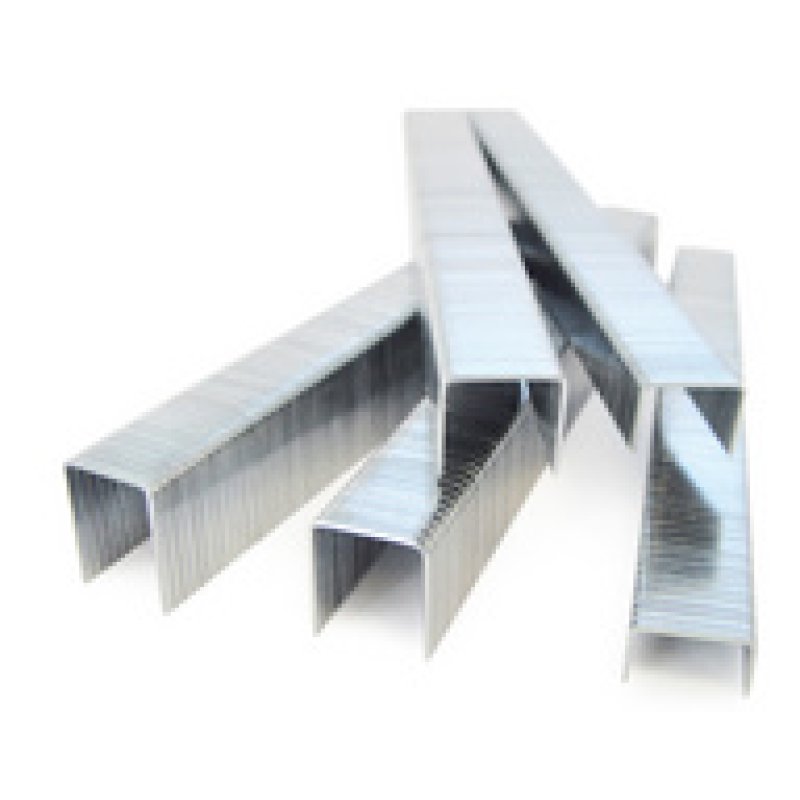 TACWISE Agrafes 73/8 mm, acier inoxydable, 5.000 pièces