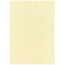 agipa Papier structuré, A4, 165 g/m2, parchemin champagne