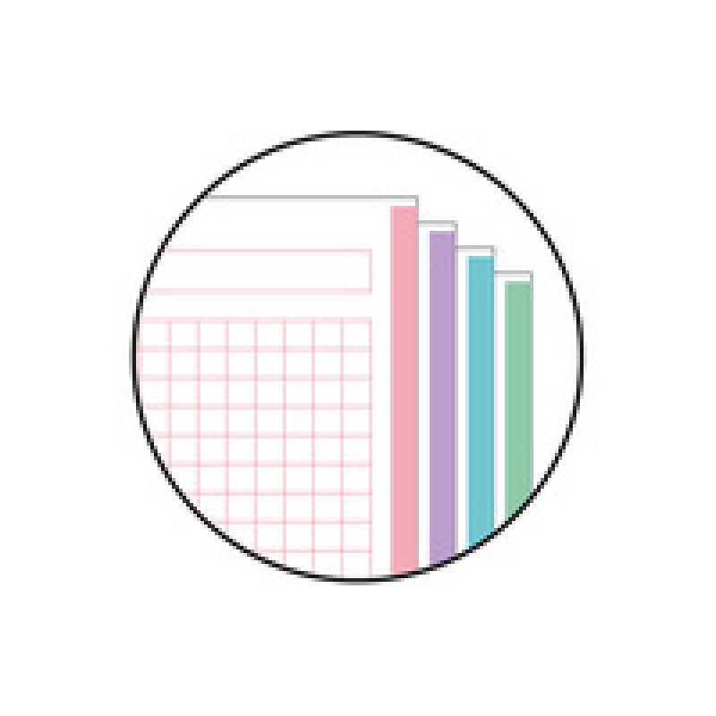 MIQUELRIUS Cahier à spirale "Notebook AURORA", A4, Iceland