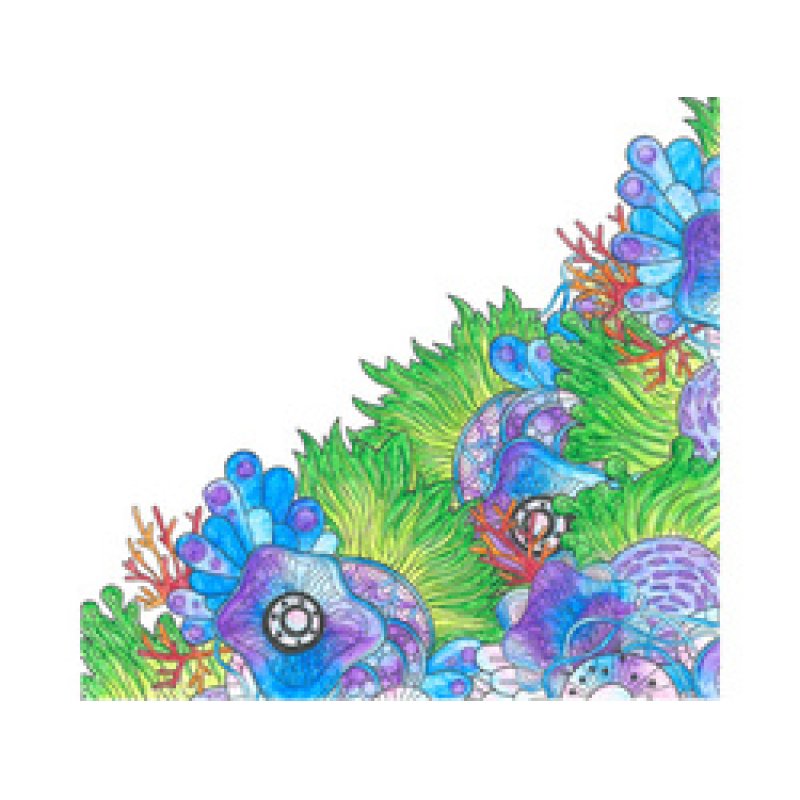 PentelArts Aquash Stylo pinceau, épaisseur: B, contenu: 7 ml