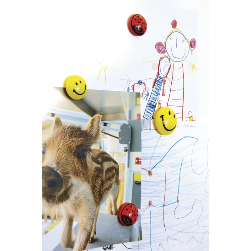 magnetoplan Aimants "Smiley", diamètre: 40 mm