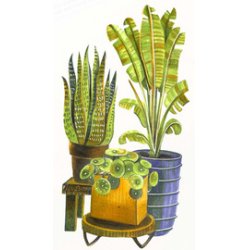 COPIC Marqueur ciao "LAYER & MIX Starter Set", Botanic