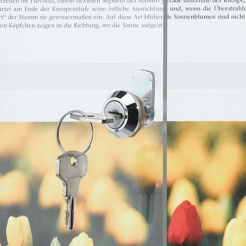 FRANKEN Vitrine d'affichage X-tra!Line, 8 x A4, dos en liège