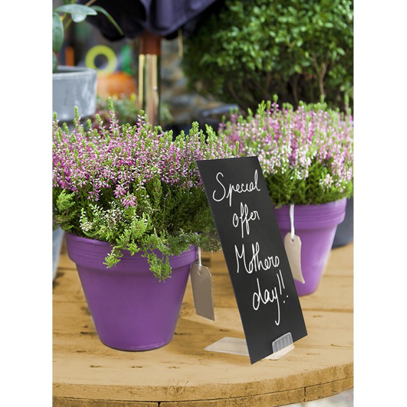 Securit TAG-HLD-TR porte étiquettes 6 pièce(s)