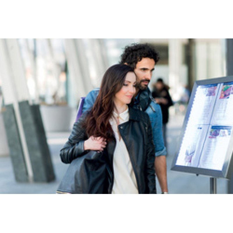 Securit Batterie lithium-ion