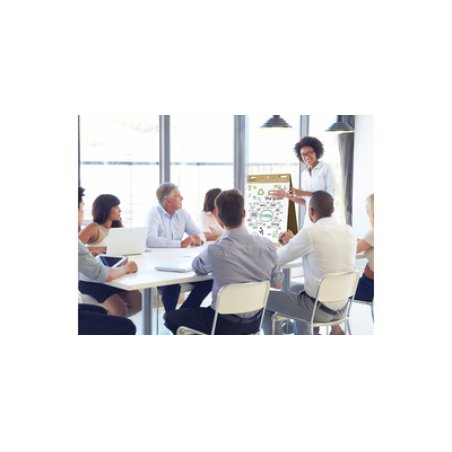 Bi-Office Chevalet de table "Earth", 20 feuilles, 500x585 mm