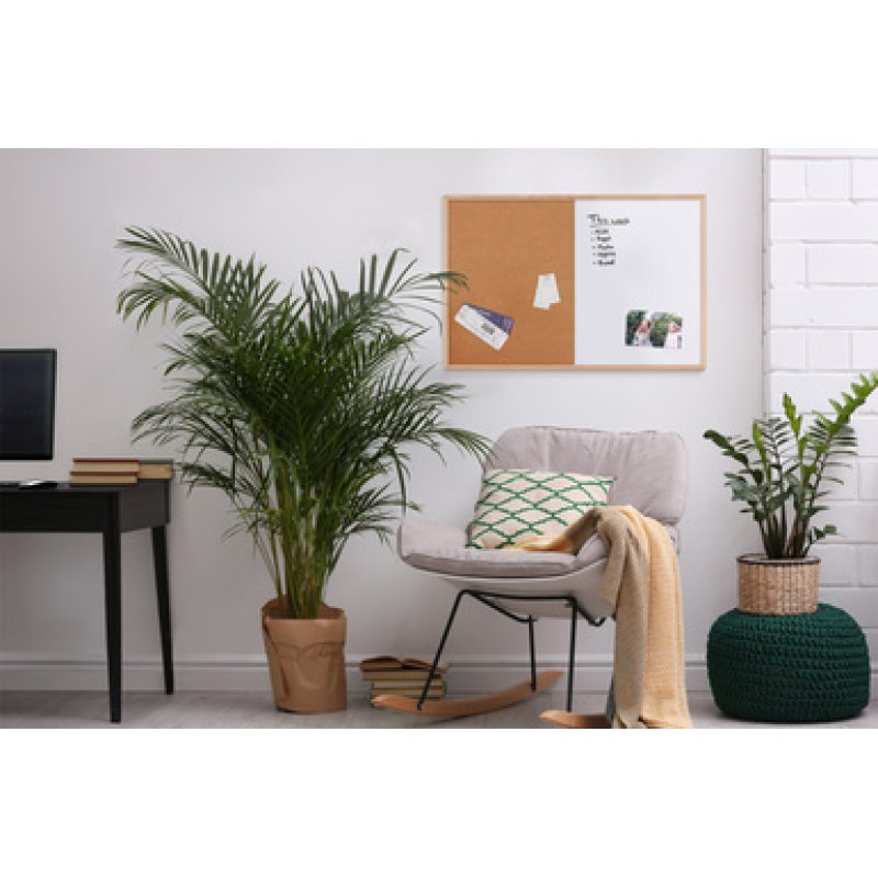 Bi-Office Tableau mixte, cadre en bois, (L)400 x (H)300 mm