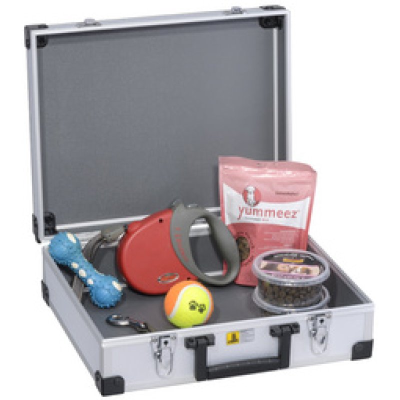 allit Mallette d'aluminium "AluPlus Basic", taille L, argent