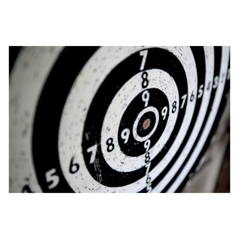 Avery 3521 shooting sports gun accessory / supply Target patch