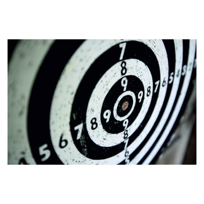 Avery 3522 shooting sports gun accessory / supply Target patch