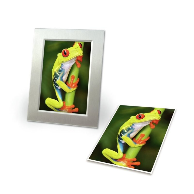 Avery C2549-20P papier photos Blanc Hautement brillant