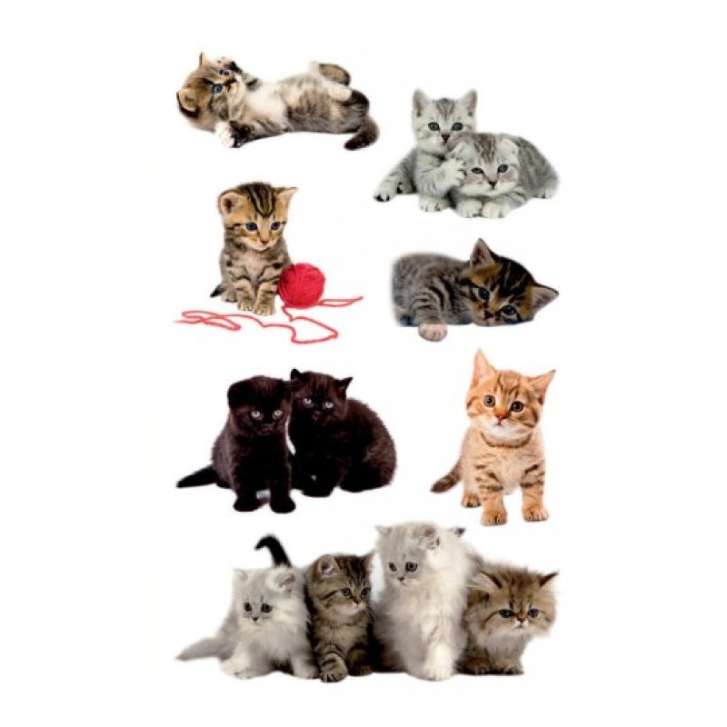 ZDesign KIDS Sticker "chatons", coloré