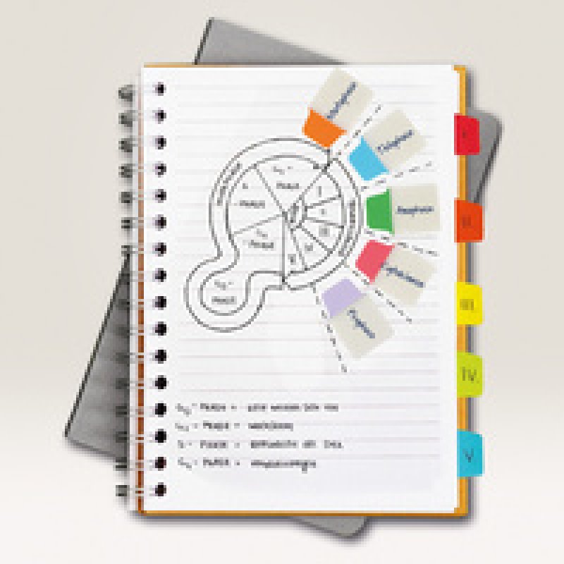 AVERY Zweckform Onglet adhésif UltraTabs pastel