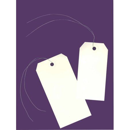 AVERY Etiquettes américaines, 100 x 51 mm, avec fil de fer