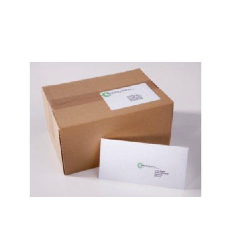 Avery J8173-25 étiquette d'adresse Etiquette auto-adhésive Blanc