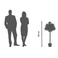 PAPERFLOW Plante artificielle "Olivier", hauteur : 1.250 mm