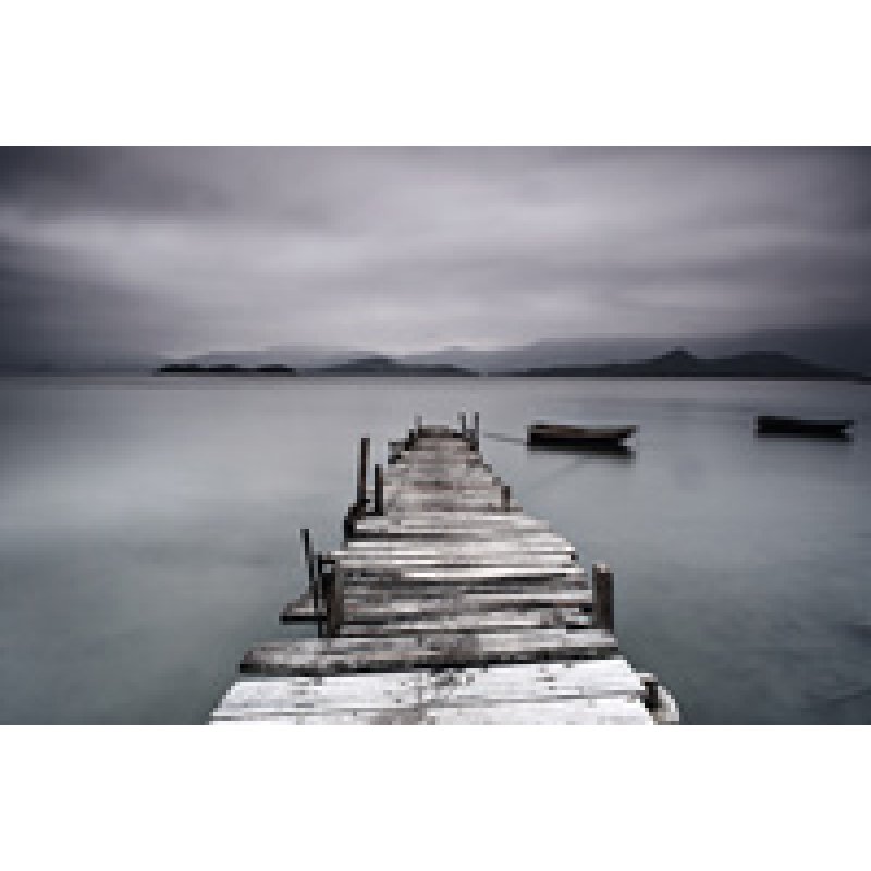 PAPERFLOW Poster mural "Forêt", en plexiglas