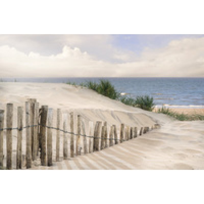 PAPERFLOW Poster mural "Forêt", en plexiglas