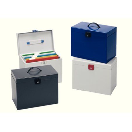 Esselte 48320 file storage box Metal Assorted colours