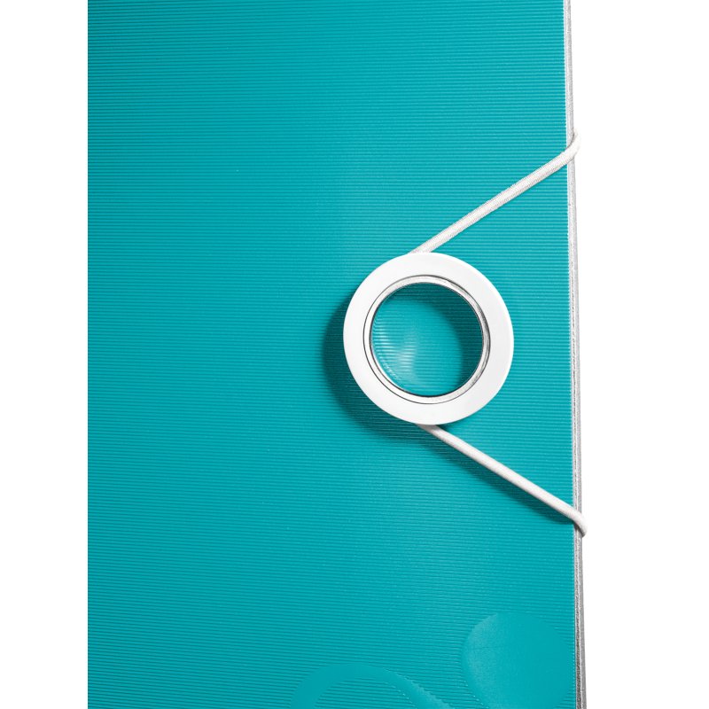 Leitz 11060051 ring binder A4 Turquoise