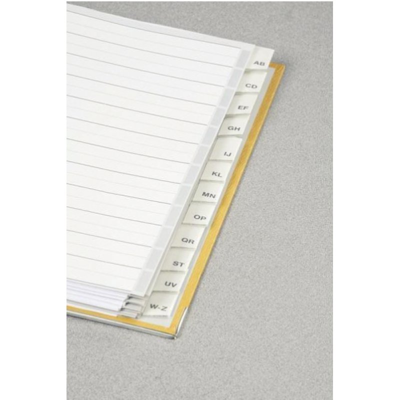 Leitz 12740000 intercalaire de classement Onglet avec index vierge Carton Gris, Blanc