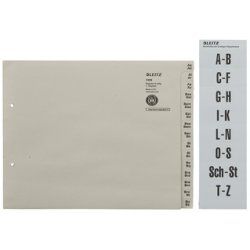 Leitz 13120085 index card Grey