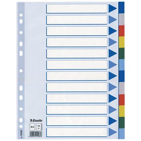 Esselte 15262 tab index Blank tab index Polypropylene (PP) Multicolour