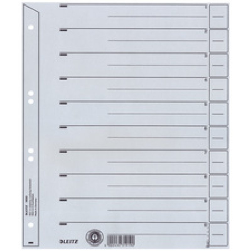 LEITZ Intercalaires, format A4 extra large, en carton solide