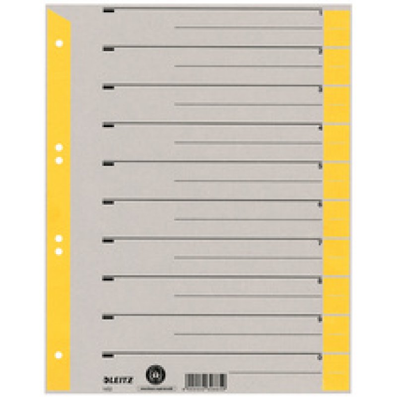 LEITZ Intercalaires, format A4 extra large, en carton solide