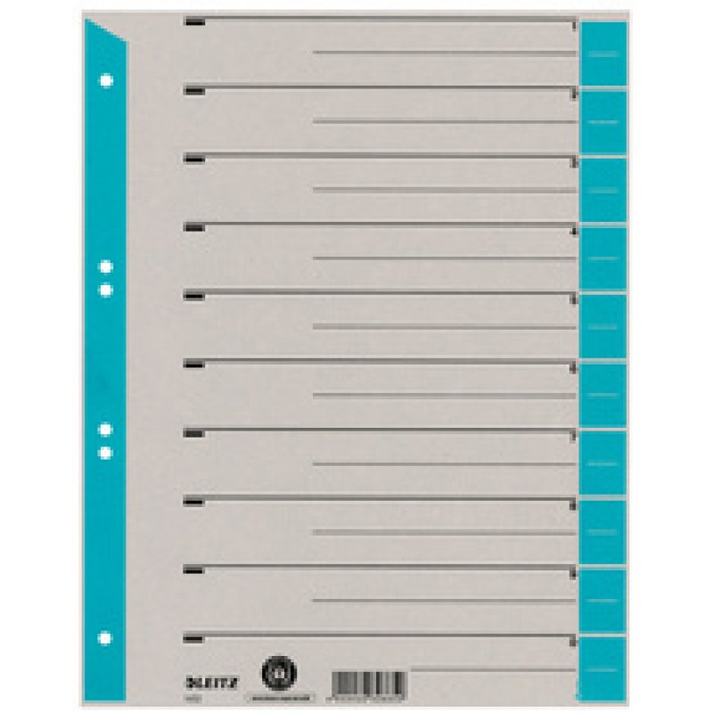 LEITZ Intercalaires, format A4 extra large, en carton solide