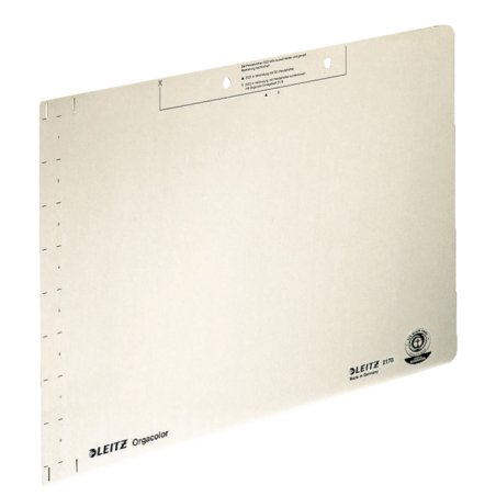 LEITZ Einlegeblatt, (B)323 x (H)224 mm, chamois