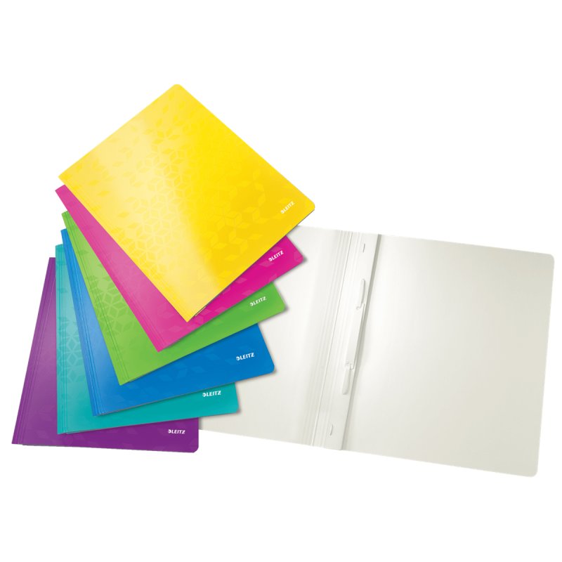 Leitz 30011099 fichier Carton Couleurs assorties A4