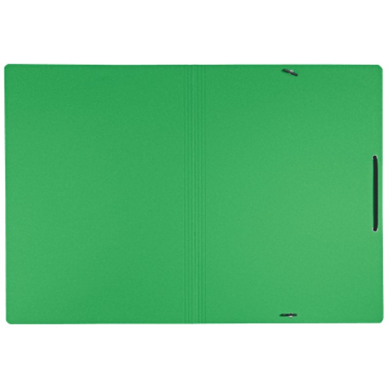 Leitz 39080055 folder Cardboard Green A4