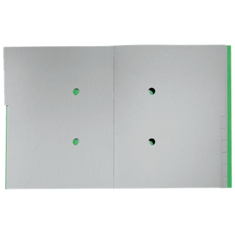 Leitz 39150055 divider Cardboard Green 1 pc(s)