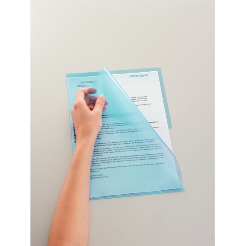 LEITZ pochette transparente Standard, A4, en PP, granuleux