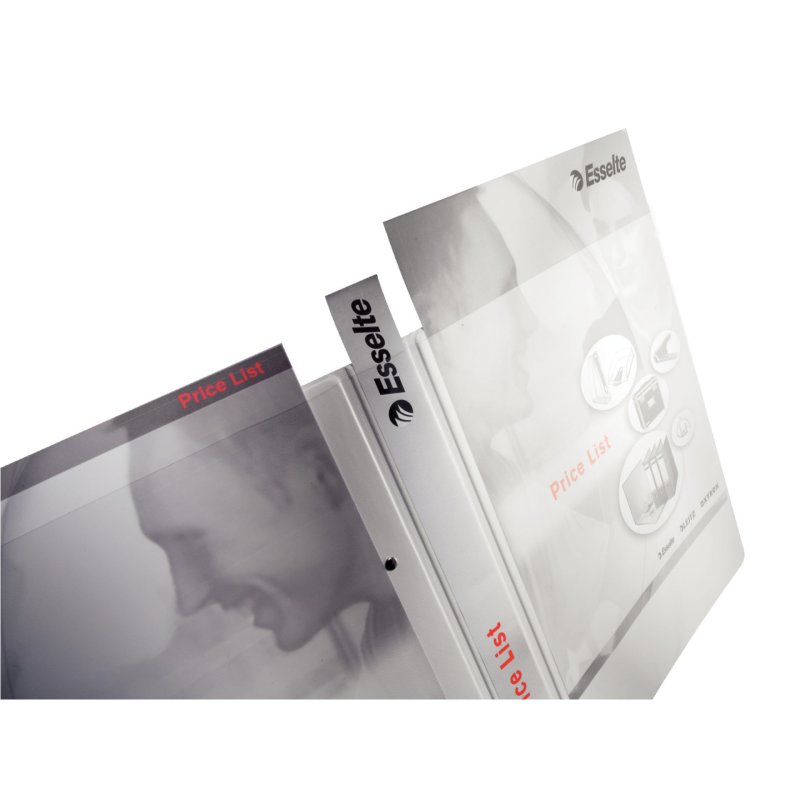 Leitz 42840001 classeur à anneaux A4 Blanc