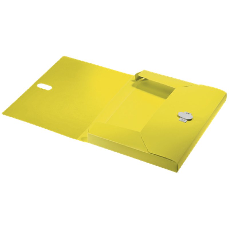 Leitz 46230015 box file 250 sheets Yellow Polypropylene (PP)
