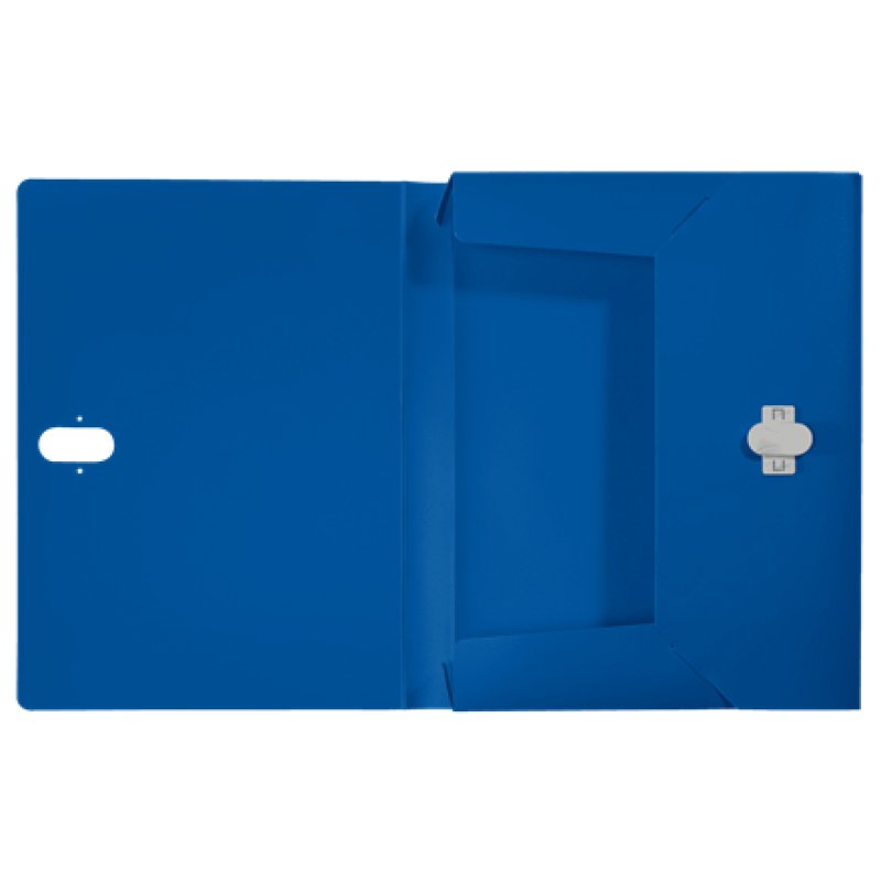 Leitz 46230035 boîte à archive 250 feuilles Bleu Polypropylène (PP)
