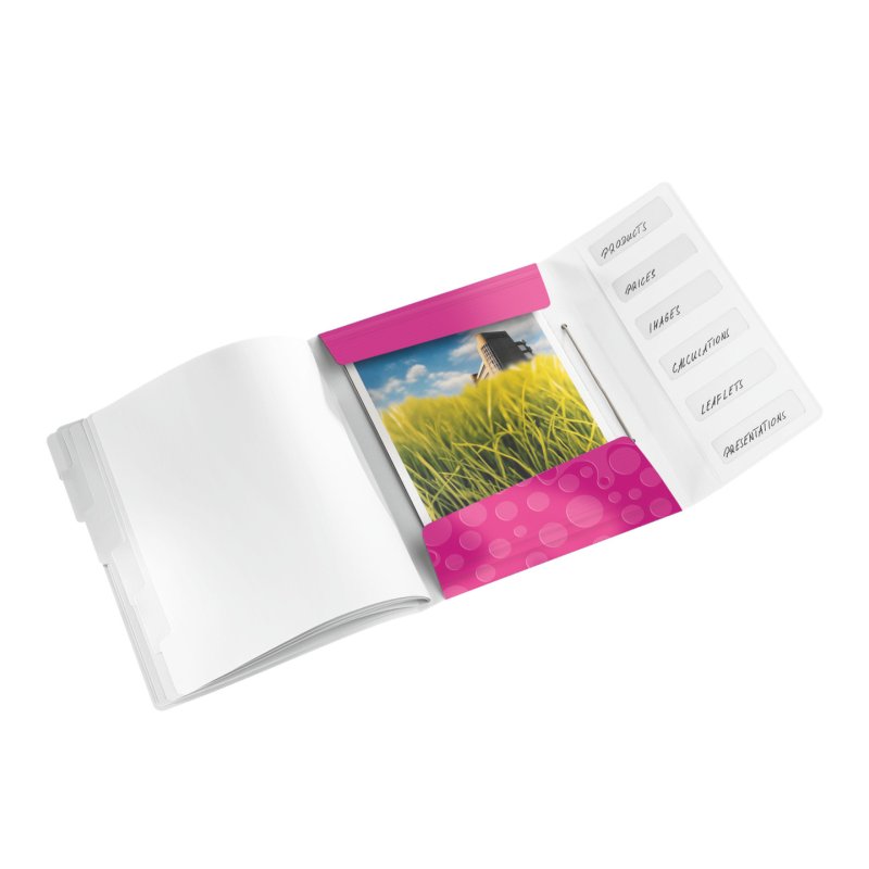 Leitz WOW Polypropylene (PP) Metallic, Pink