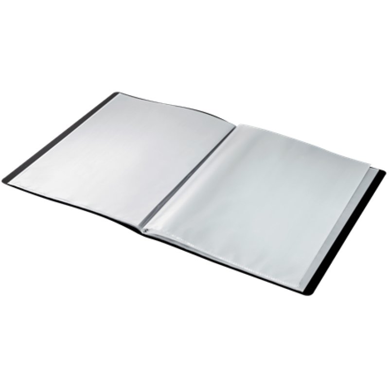 Leitz 46760095 classeur à anneaux A4 Noir