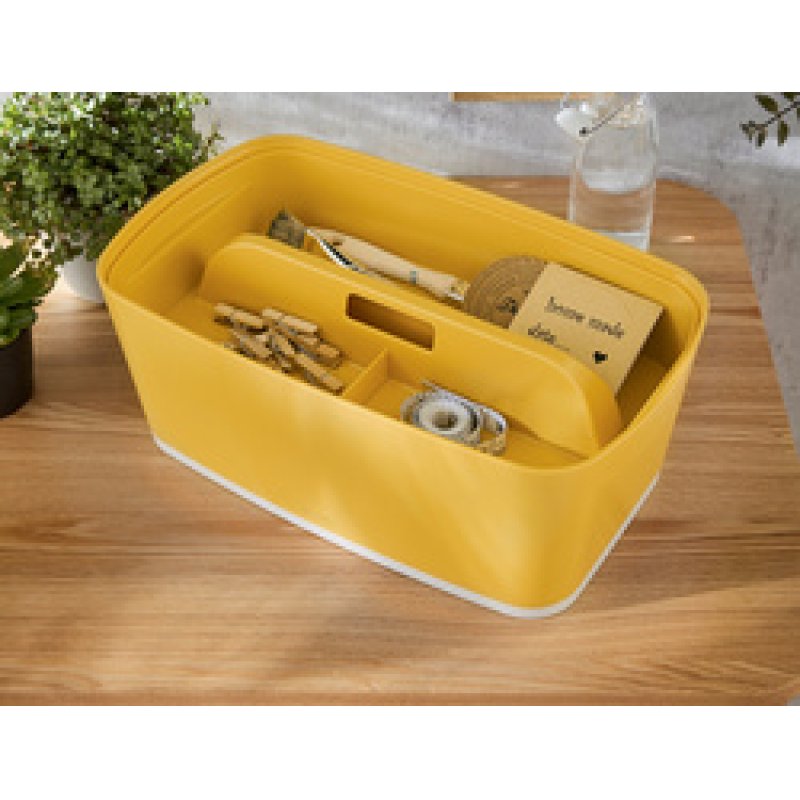 LEITZ Organiseur pour boîte de rangement My Box Cosy, gris