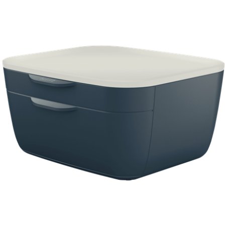 Leitz 53570089 desk tray/organizer Polystyrene (PS) Black, White