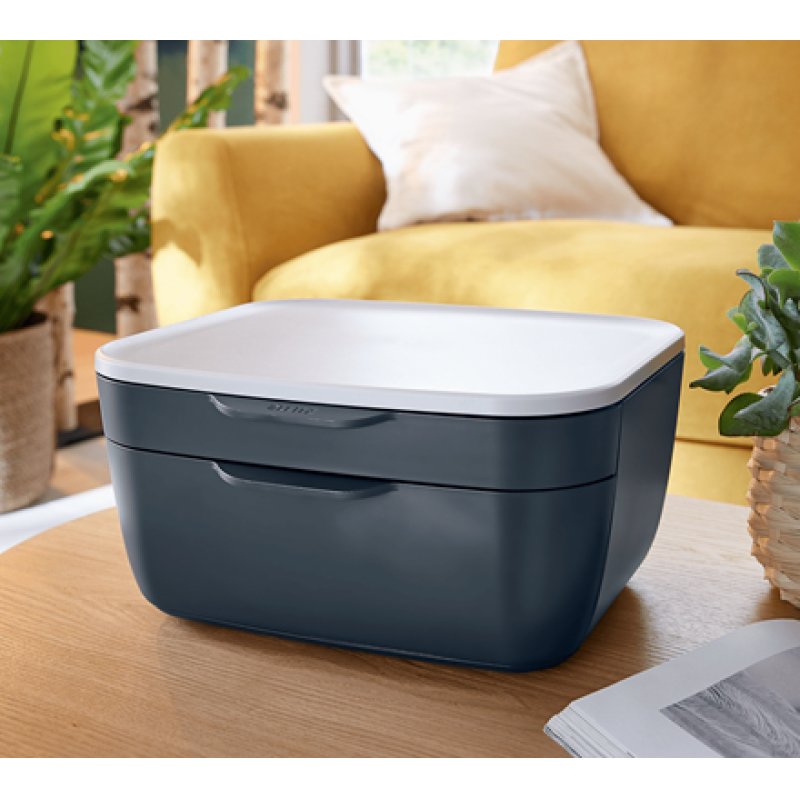 Leitz 53570089 desk tray/organizer Polystyrene (PS) Black, White