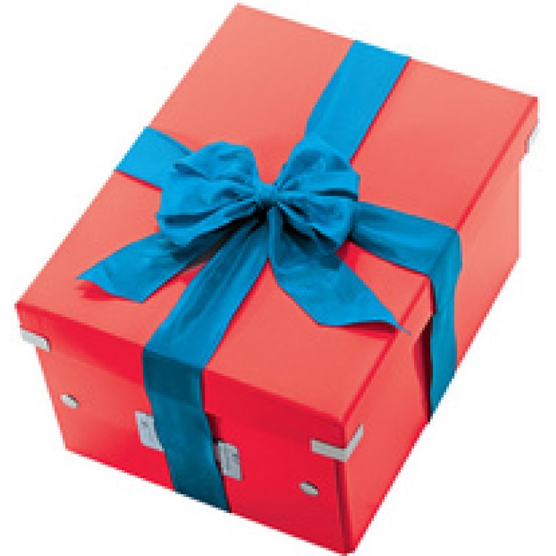 LEITZ Boîte de rangement Click & Store WOW, A5, menthe