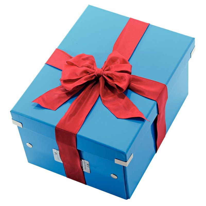 Leitz Click & Store Medium Box