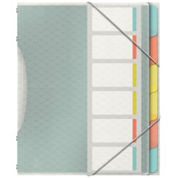 Esselte 626255 intercalaire de classement Onglet avec index vierge Polypropylène (PP) Multicolore